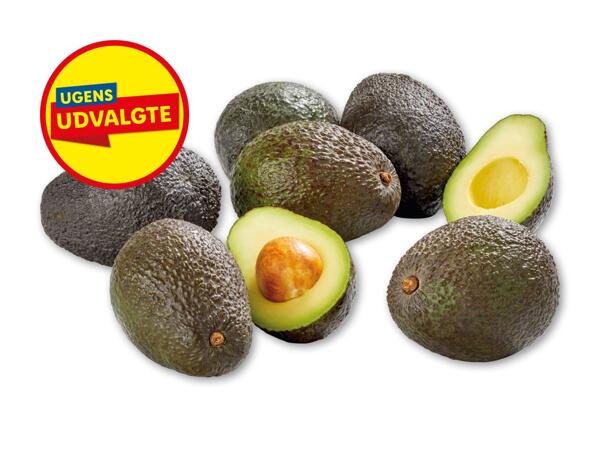 Avocado