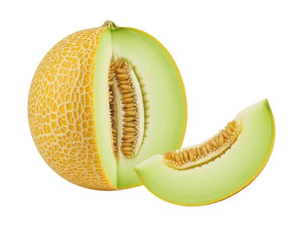 Zuckermelone Galkia