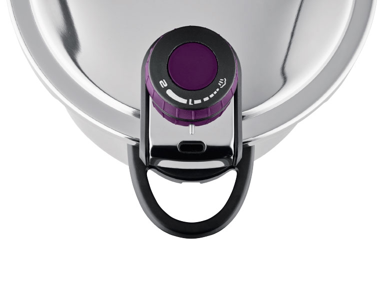 GSW Stainless Steel Pressure Cooker