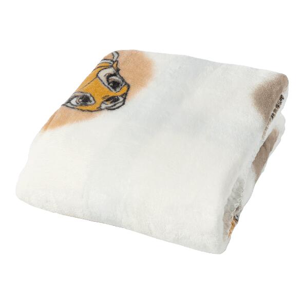 DISNEY BABY(R) 				Plaid voor baby's