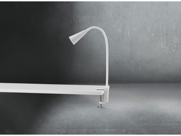 LED clip lamp