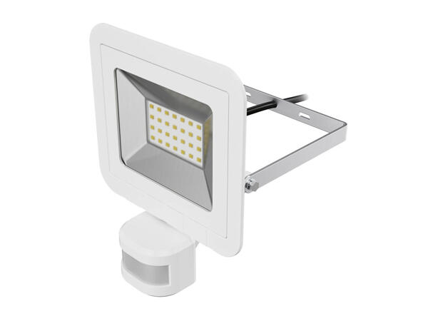 LED Outdoor Floodlight