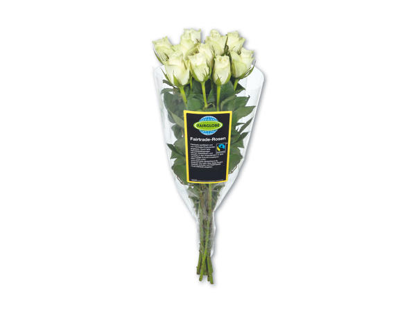 Fairtrade-roser
