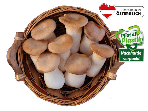 Bio Kräuterseitlinge aus Österreich