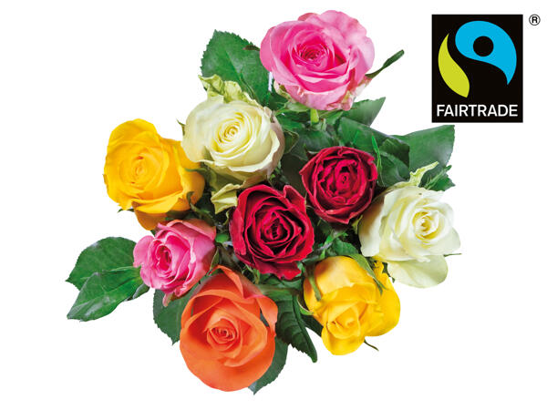 Fairtrade Rosen
