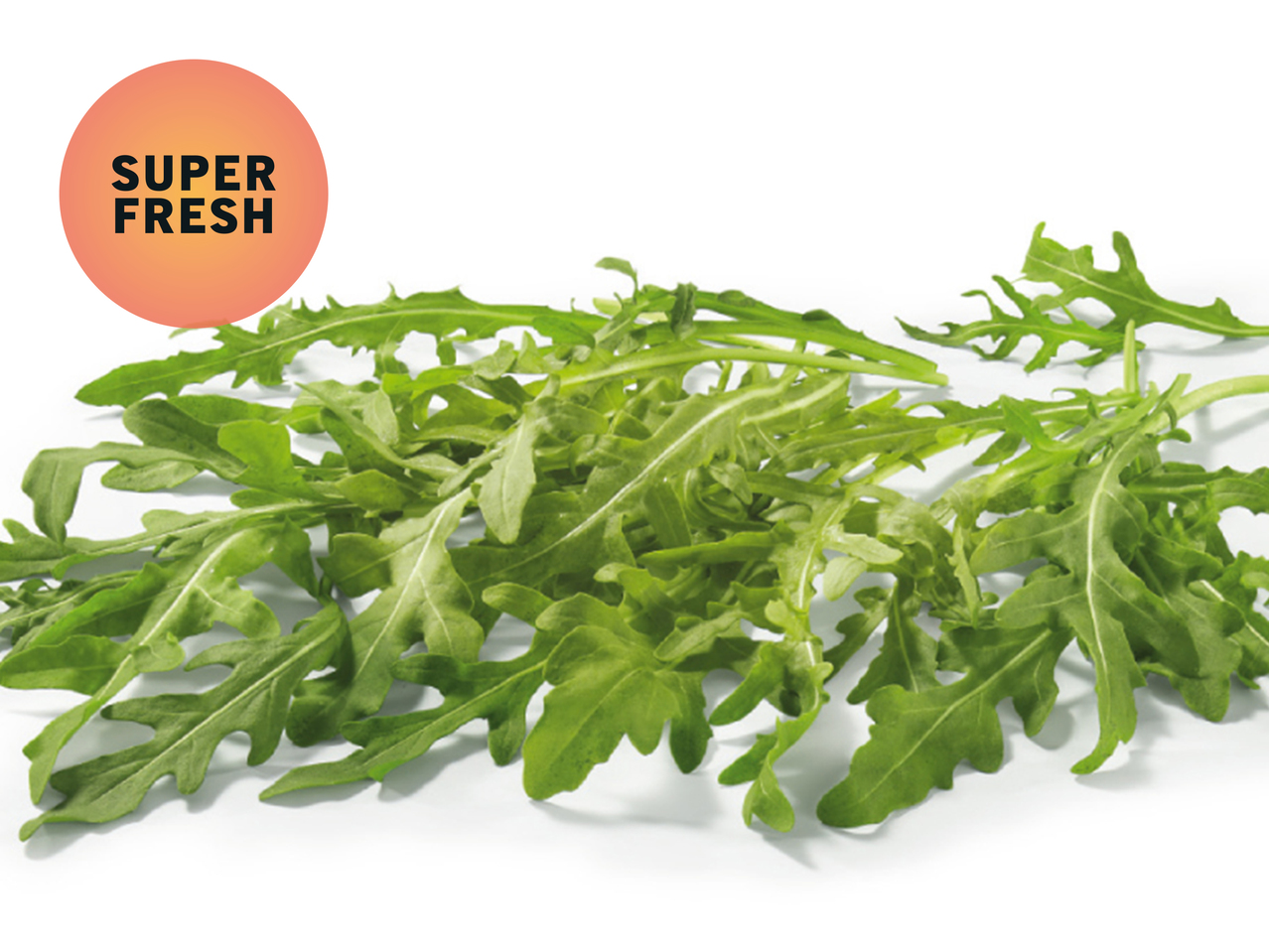 Rucola