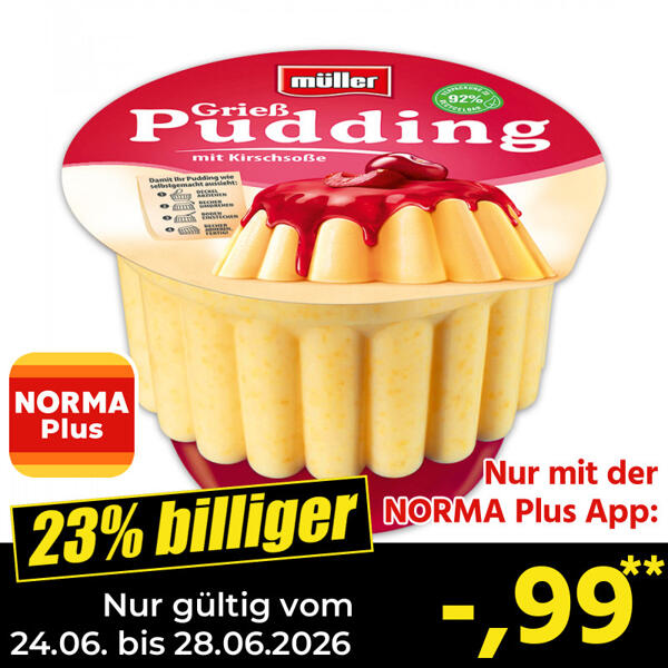 Pudding mit Soße