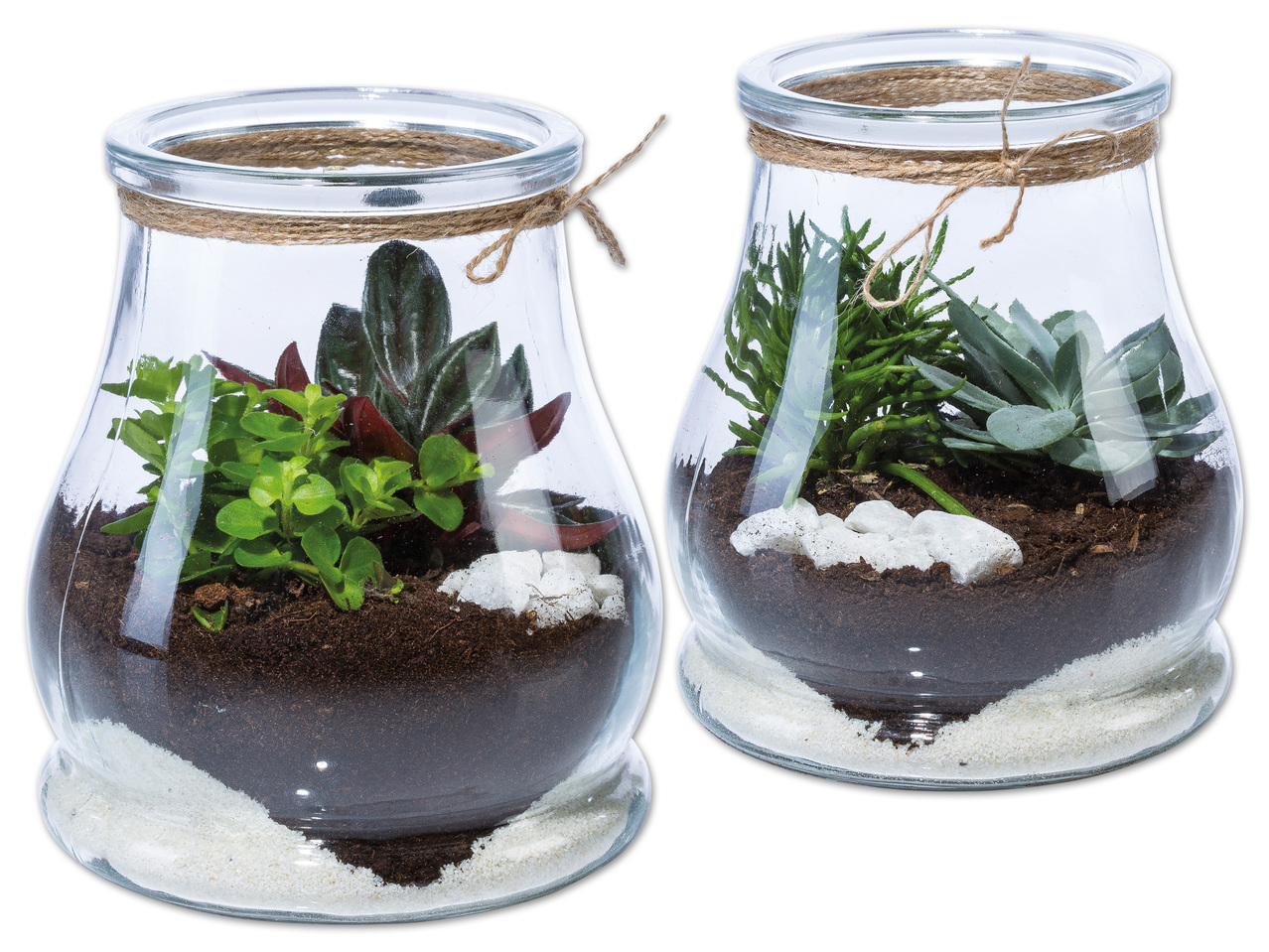 Mini Garten Maritim