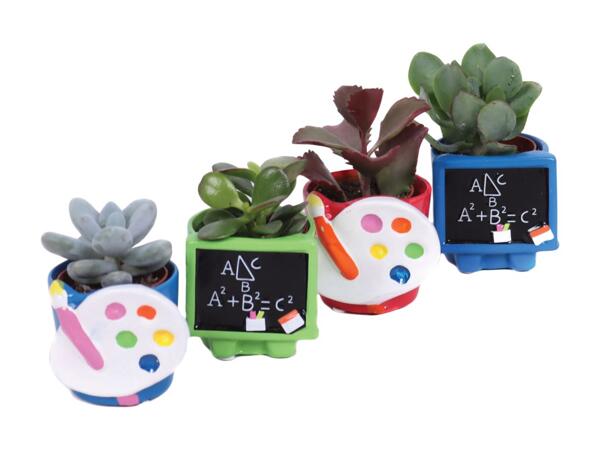 Thank you Teacher Plants