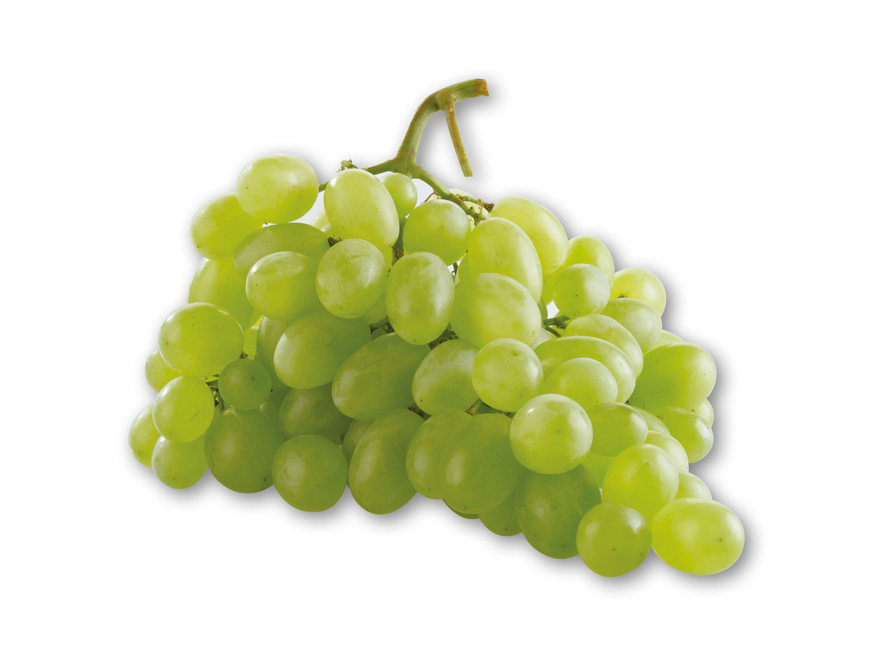 Grønne stenfri vindruer