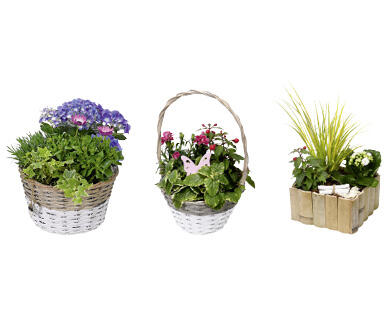 MUTTERTAGS-ARRANGEMENT