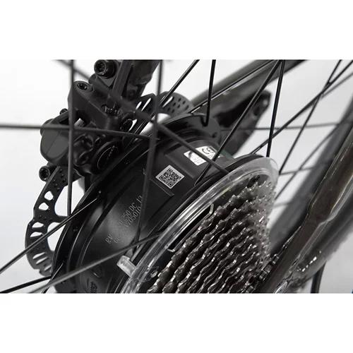 ALLEGRO Invisible E-MTB AXIM°03 19", Corn