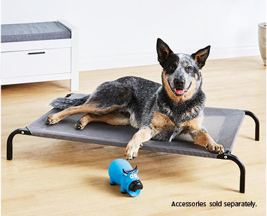 Elevated Pet Bed