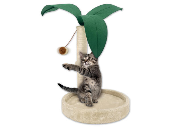 Kratzbaum/Hängematte
