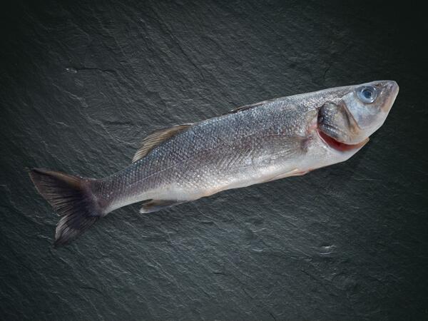 Branzino bio