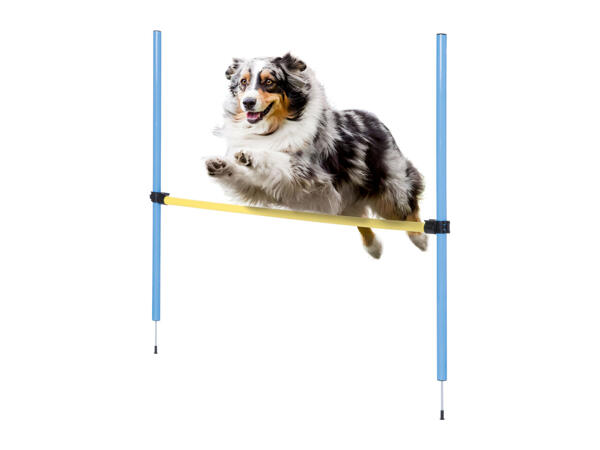 Zoofari Dog Agility Set