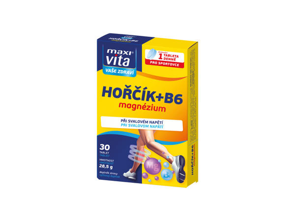 MAXIVITA HOŘČÍK + B6