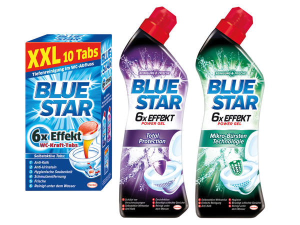 BLUE STAR WC Reiniger1