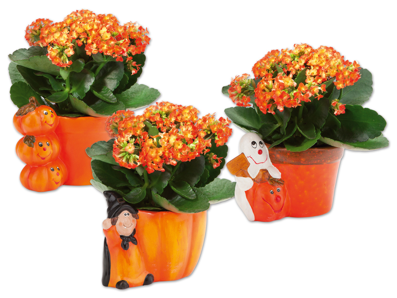 Bepflanzte Halloweenfiguren