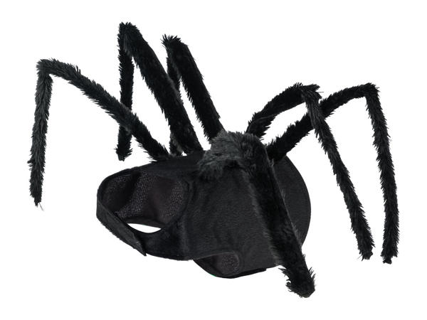 Dogs' Halloween Costume