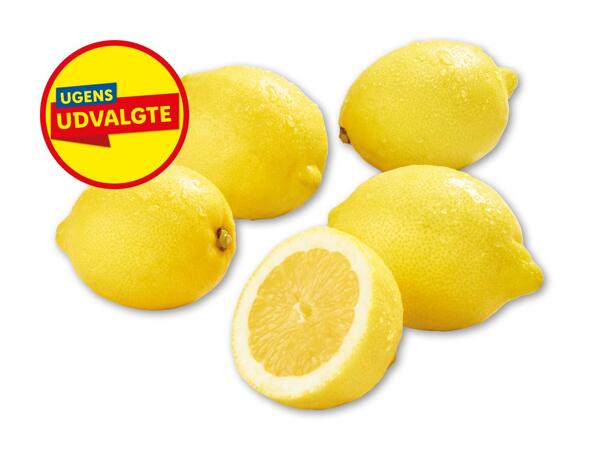 Citroner