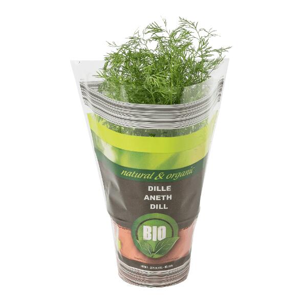 Biokruidenplant