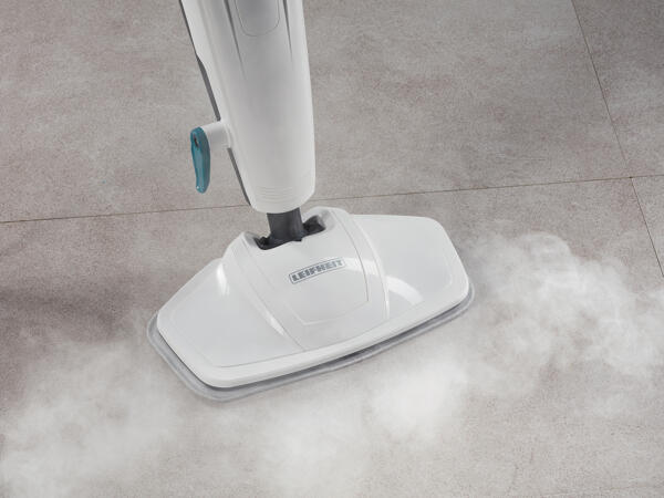 Steam Cleaner