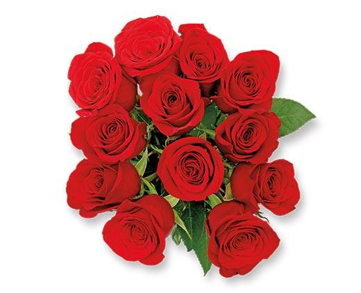 12 Stem Rose Bouquet Assorted Colors