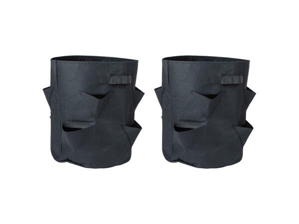 Odlingskassar för jordgubbar, 2-pack