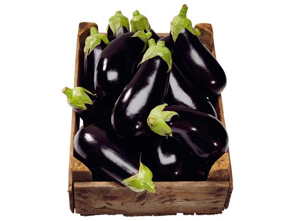 Aubergine