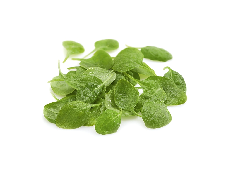 Bladspinazie