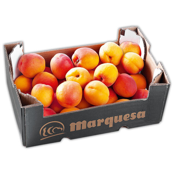 Premium Aprikosen