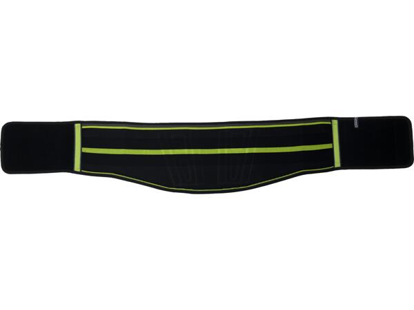 Back Brace