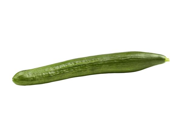 Concombres bio