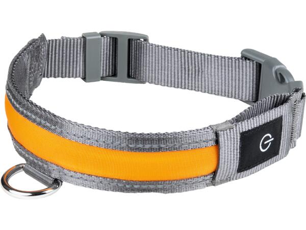 LED Dog Band / LED Dog Collar