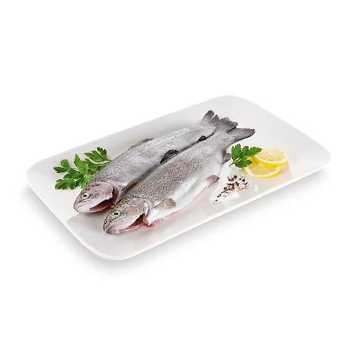 ALMARE SEAFOOD ASC Forelle