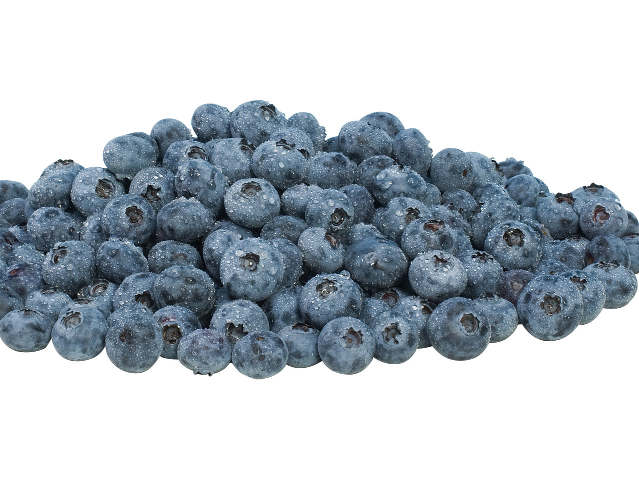 Heidelbeeren
