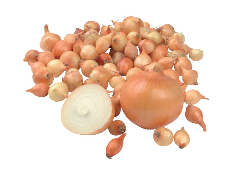 Onion Sets