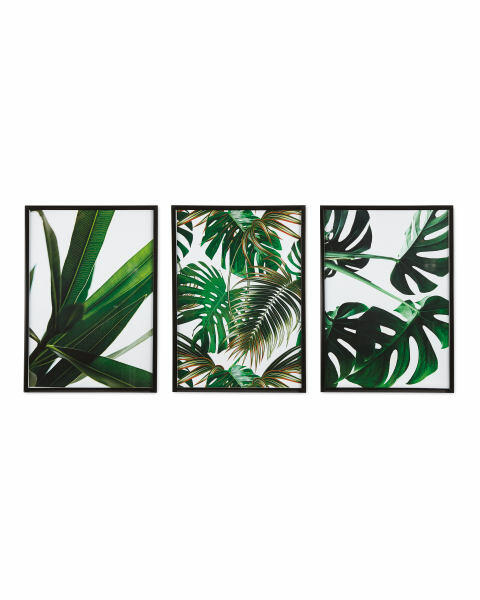 Black Frame Botanical Prints 3 Pack
