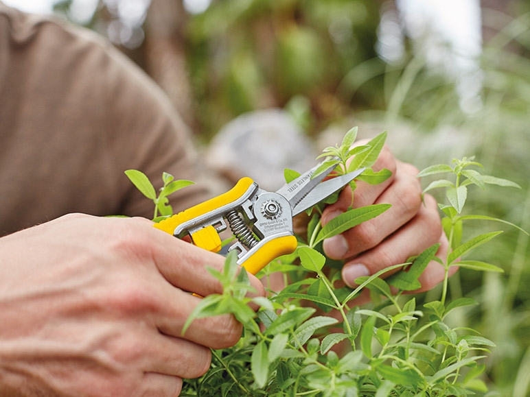 FLORABEST Garden Maintenance Secateur Set