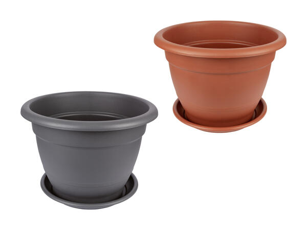 Pot de fleurs