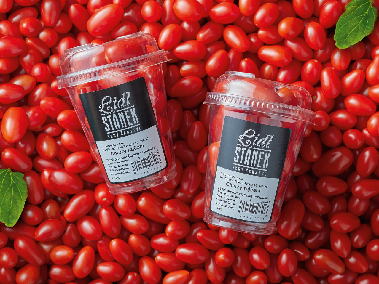 CHERRY RAJČATA DATLOVÁ