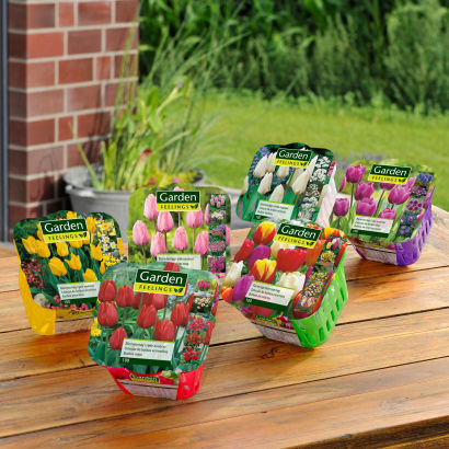 Blomsterløg