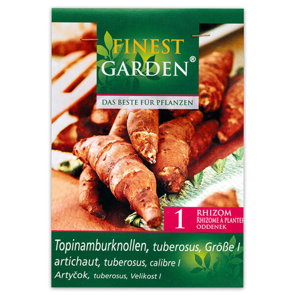 Zwiebeln für den Gemüsegarten