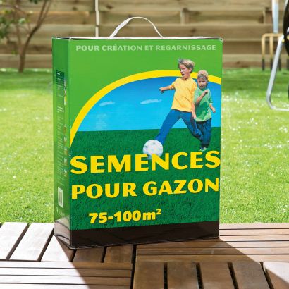 Semences gazon