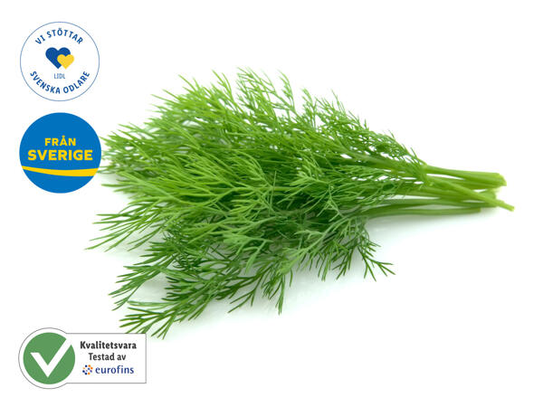 Dill