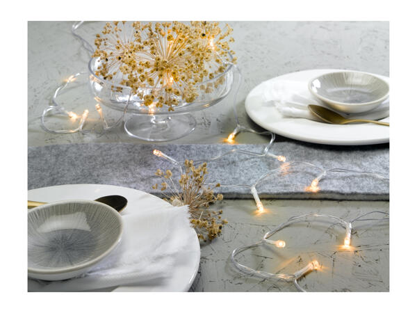 Livarno Home 20 LED String Lights