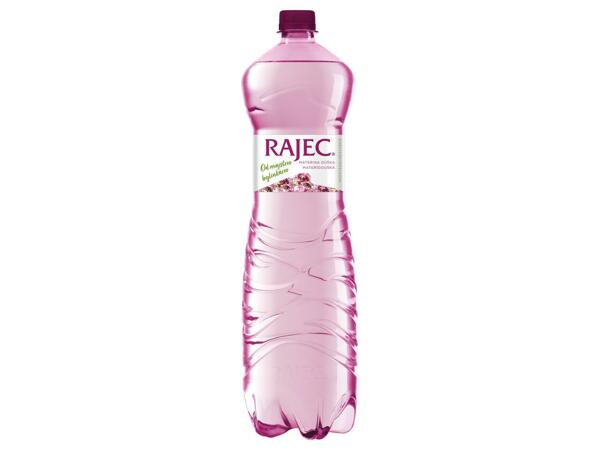 RAJEC