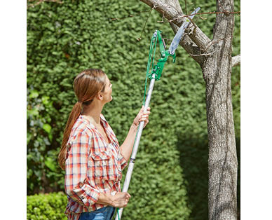 Telescopic Tree Pruner