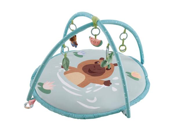Baby Activity Gym